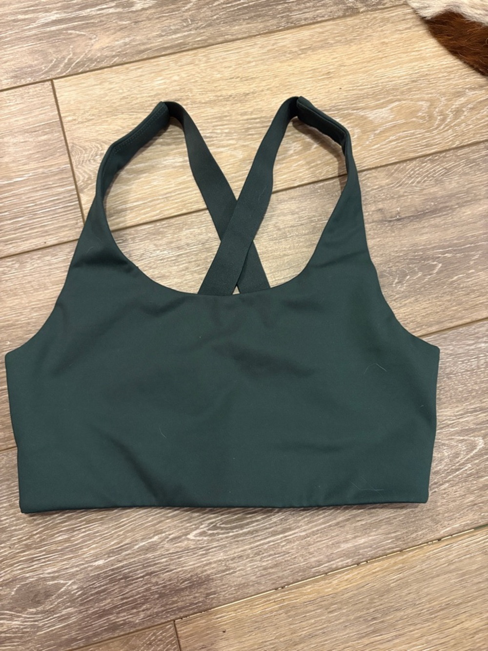 girlfriend collective Simone High Support sports bra in Moss EUC